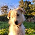 Ersteller:in Hannah Profilbild