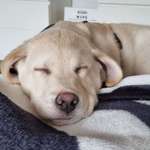 Ersteller:in Jutta Profilbild