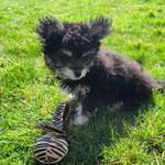 Ersteller:in Malaika Profilbild