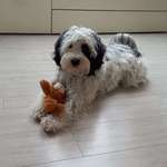 Ersteller:in Melanie Profilbild