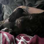 Ersteller:in Jennifer Profilbild