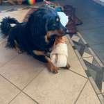 Ersteller:in Kerstin Profilbild