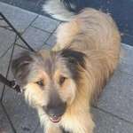 Ersteller:in Ingrid Profilbild