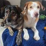 Ersteller:in Sophie Profilbild