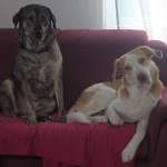 Ersteller:in Sophie Profilbild