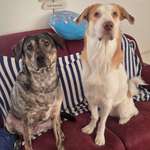 Ersteller:in Sophie Profilbild