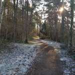 Hundeauslaufgebiet-Oberemat Telfs-Bild