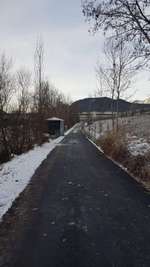 Hundeauslaufgebiet-Hundefreilaufzone Telfs-Bild