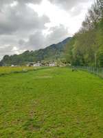 Hundeauslaufgebiet-Hundefreilaufzone Schwaz-Bild