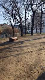 Hundeauslaufgebiet-Pechepark (Willten) Freilaufzone Innsbruck-Bild