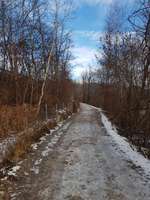 Hundeauslaufgebiet-Hundefreilaufzone Telfs-Bild