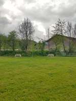 Hundeauslaufgebiet-Hundeplatz Jenbach-Bild