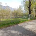 Hundeauslaufgebiet-Hundespielplatz Baggersee-Bild