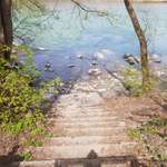 Hundeauslaufgebiet-Hundespielplatz Baggersee-Bild