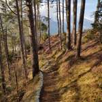 Hundeauslaufgebiet-Oberemat Telfs-Bild