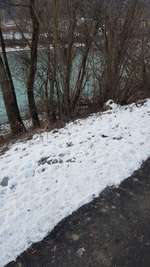 Hundeauslaufgebiet-Hundefreilaufzone Telfs-Bild