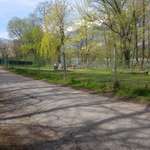 Hundeauslaufgebiet-Hundespielplatz Baggersee-Bild