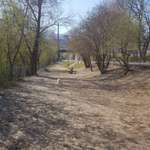 Hundeauslaufgebiet-Karwendelbrücke-Bild