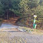 Hundeauslaufgebiet-Oberemat Telfs-Bild