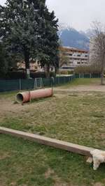 Hundeauslaufgebiet-Hundespielwiese Egerdach-Bild