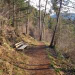 Hundeauslaufgebiet-Oberemat Telfs-Bild