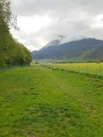 Hundeauslaufgebiet-Hundefreilaufzone Schwaz-Bild