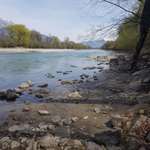 Hundeauslaufgebiet-Hundespielplatz Baggersee-Bild