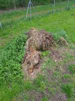 Hundeauslaufgebiet-Hundefreilaufzone Schwaz-Bild