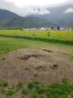 Hundeauslaufgebiet-Hundefreilaufzone Schwaz-Bild