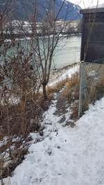 Hundeauslaufgebiet-Hundefreilaufzone Telfs-Bild