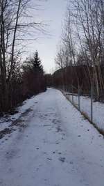 Hundeauslaufgebiet-Hundefreilaufzone Telfs-Bild