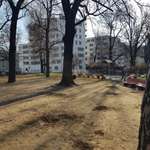 Hundeauslaufgebiet-Pechepark (Willten) Freilaufzone Innsbruck-Bild