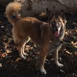 Ersteller:in Silja Profilbild