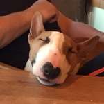 Ersteller:in Simone Profilbild