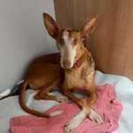 Ersteller:in Jenny Profilbild