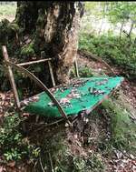 Hundeauslaufgebiet-Rund um den Steinigen Hügel-Bild