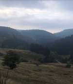 Hundeauslaufgebiet-Rund um den Steinigen Hügel-Bild