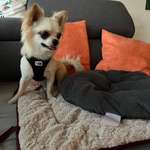 Ersteller:in Steffi Profilbild