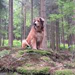 Ersteller:in Michaela Profilbild