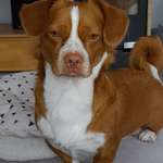 Ersteller:in Alexandra Profilbild