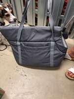 Tragetasche für den Hund-Beitrag-Bild