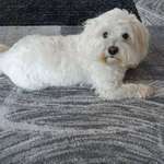 Ersteller:in Jacqueline Profilbild