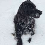 Ersteller:in Sabine Profilbild