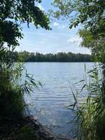 Hundeauslaufgebiet-Güster Seen und Kanal-Bild