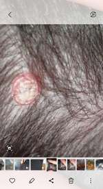 Panik...was ist das-Beitrag-Bild