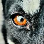 Ersteller:in Atillio Profilbild