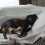 Ersteller:in Josi Profilbild