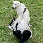 Ersteller:in Marco Profilbild