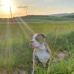 Ersteller:in Kai Profilbild