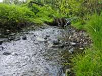 Hundeauslaufgebiet-Leucht-Bild